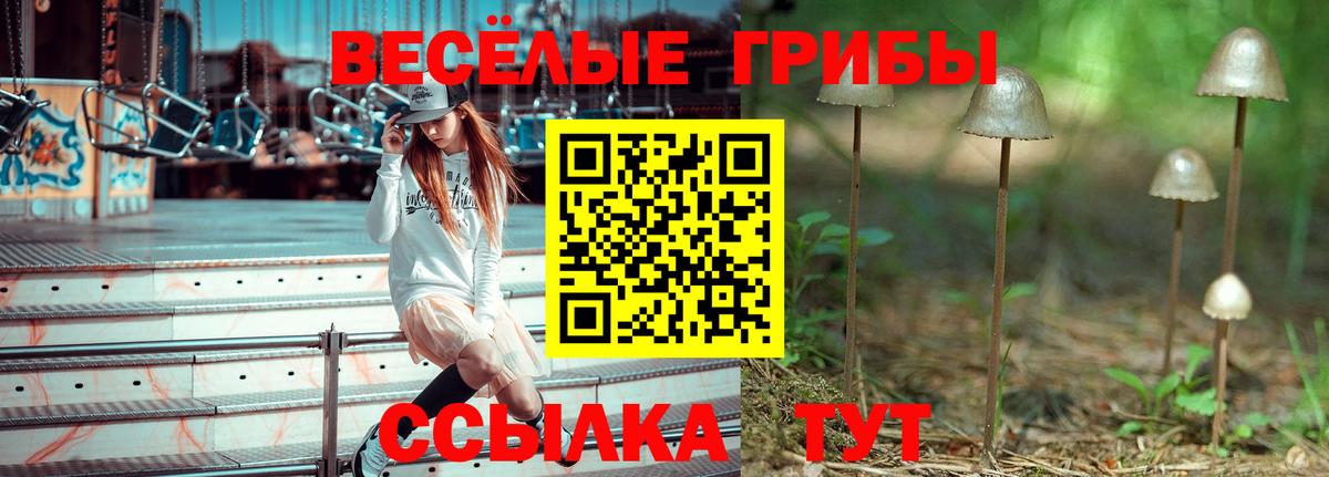 Спасск-Дальний  Галлюциногенные грибы Psilocybe  Псилоцибиновые грибы Cubensis  Вход с VPN 